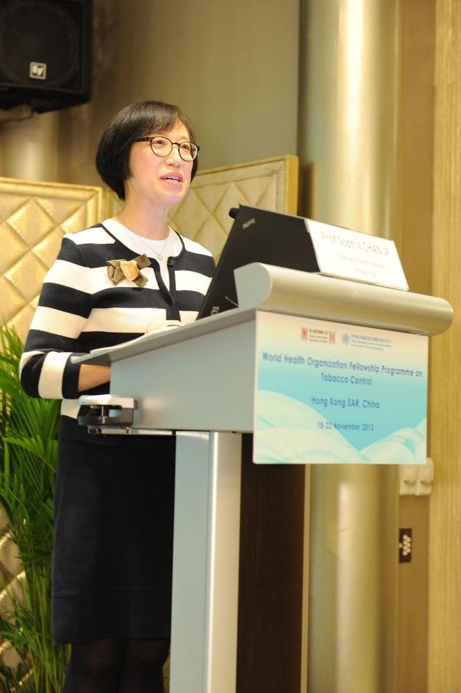 Presentation by Professor Sophia Chan